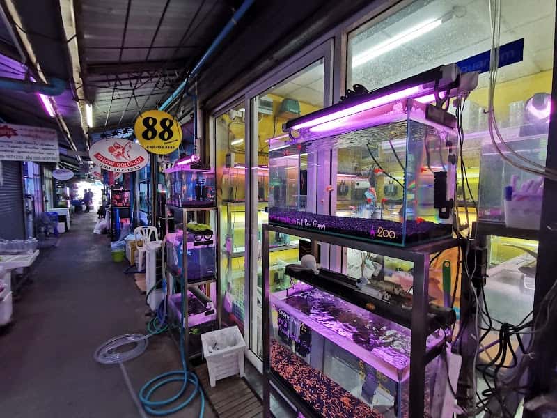 88 Aquarium