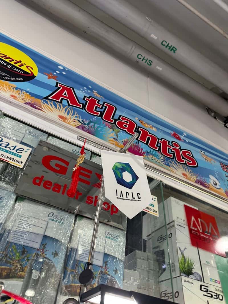 Atlantis jj market
