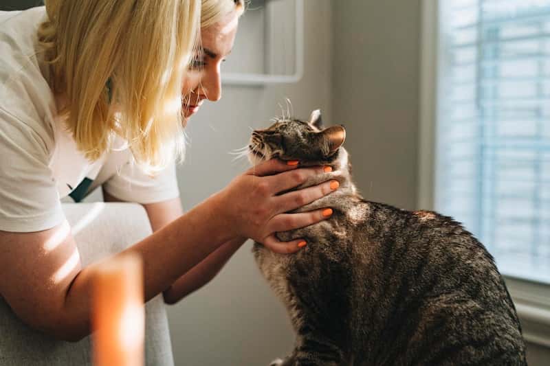 Bangkok Pet Hospital