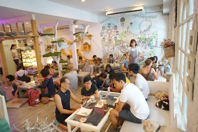 Caturday Cat Cafe