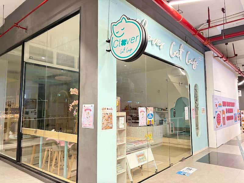 Clover Cat Cafe