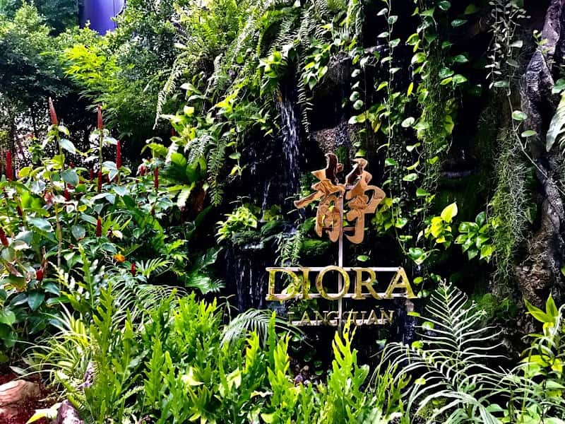 DIORA Langsuan