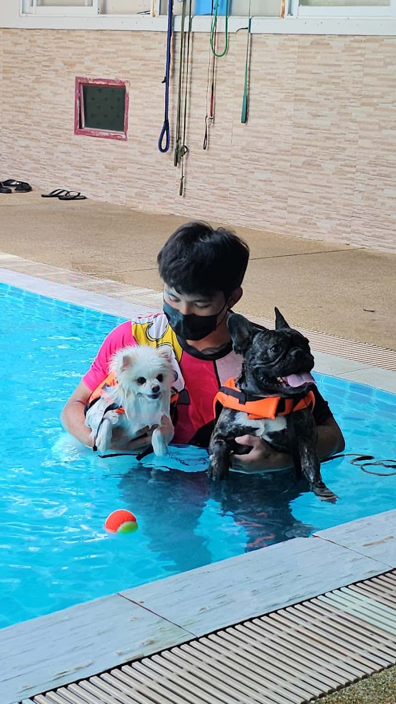 Doggie Doo