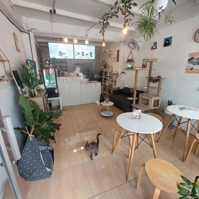 DUEMDUM COFFEE