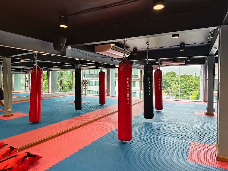 Fight Arena