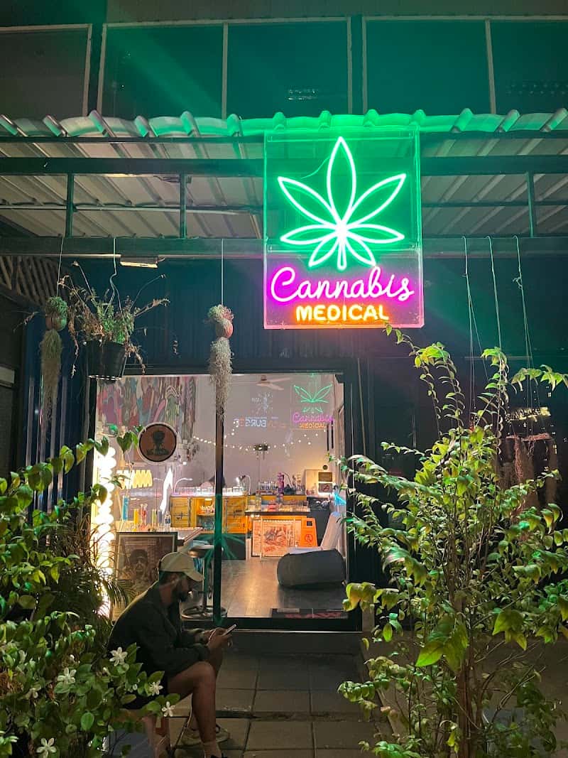 HollyWeed On Nut Cannabis - Weed Dispensary