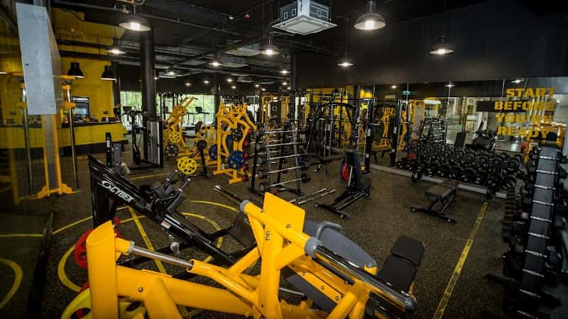Iron Fit