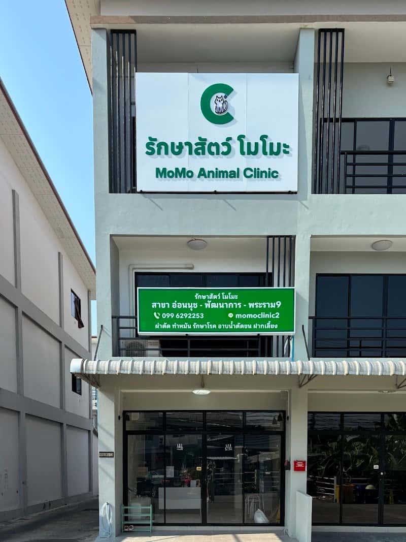 รักษาสัตว์โมโมะ สาขาอ่อนนุช พัฒนการ (Momo animal clinic bangkok branch)