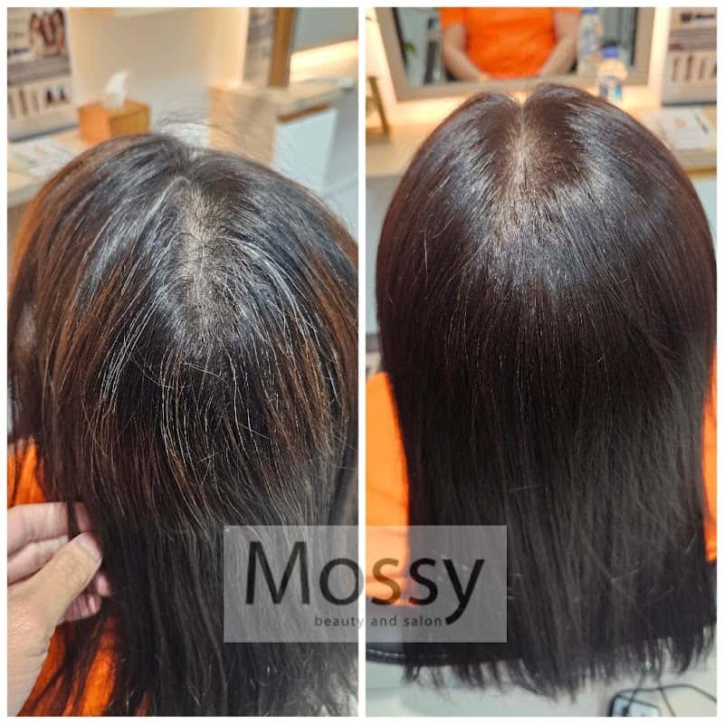 Mossy beauty and salon