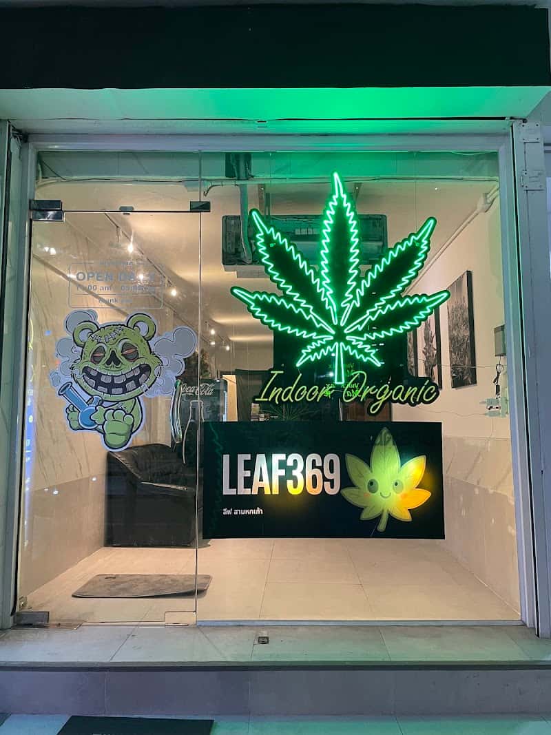 NZ BUDS Cannabis – Asoke(LEAF369)