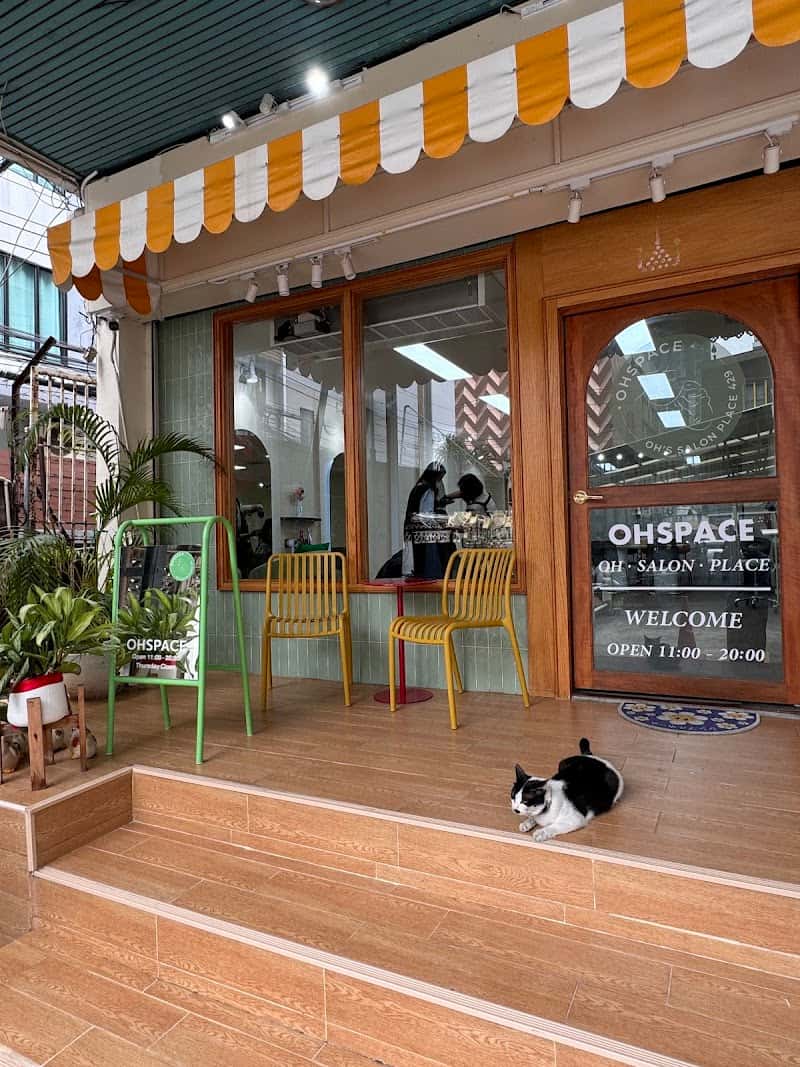 OHSPACE