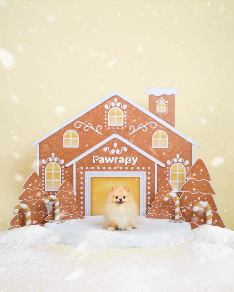 Olive Grooming Studio