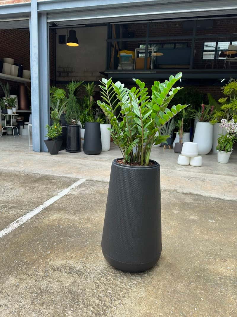 POT&PLANT BANGKOK