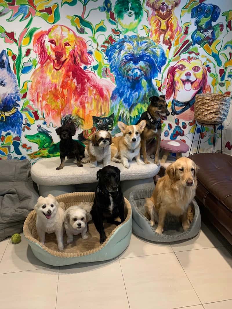 Pups and Plants