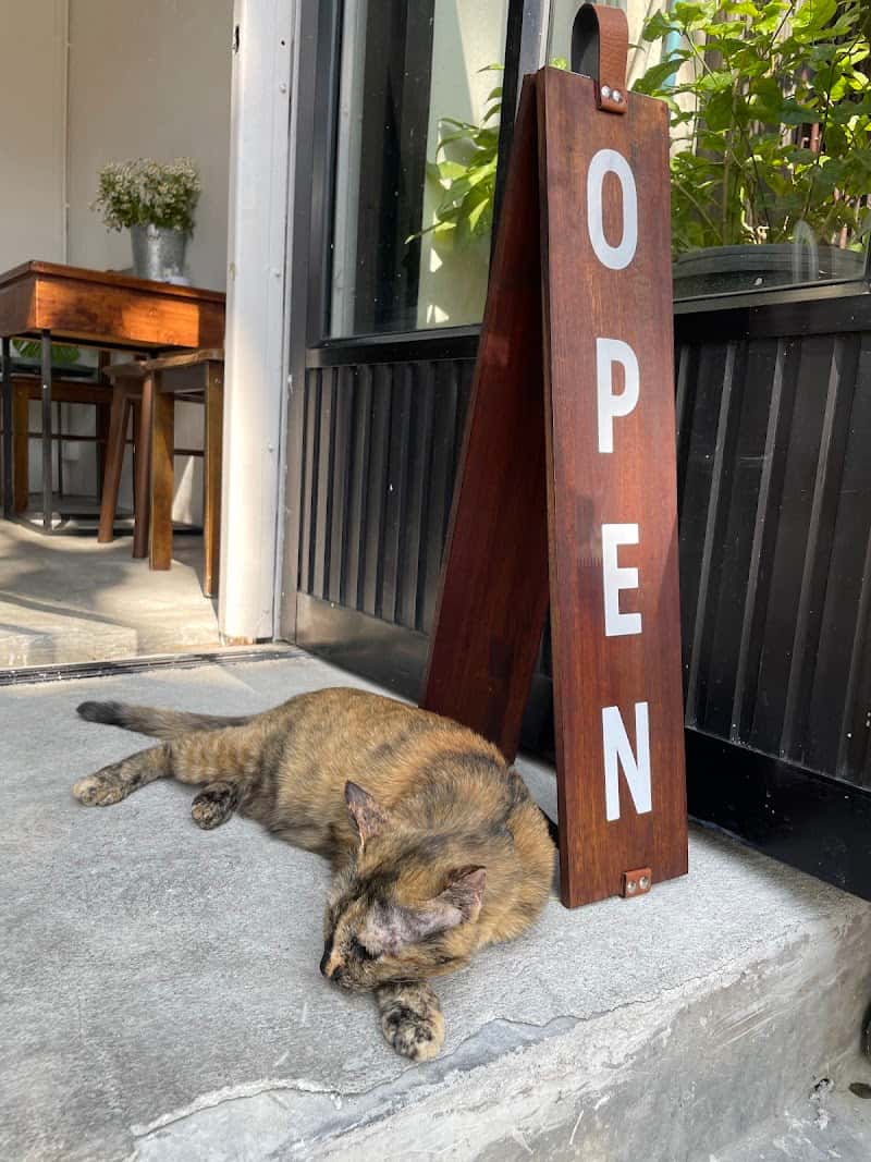 sla house & Lu Bangkok