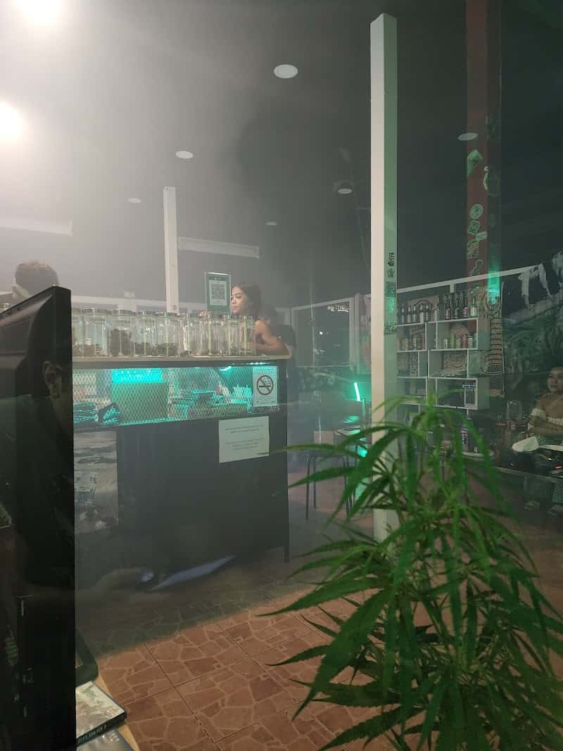 Stash BKK On Nut Cannabis shop Weed Kratom