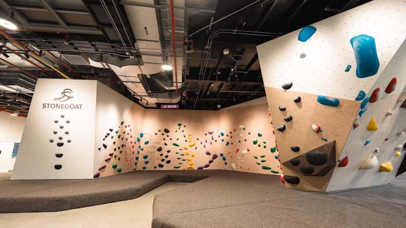 Stonegoat Climbing Gym (The PARQ)