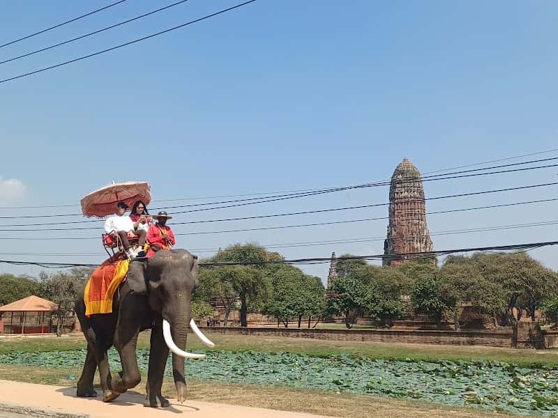 TG Tour (Transport & Day tour) bangkok