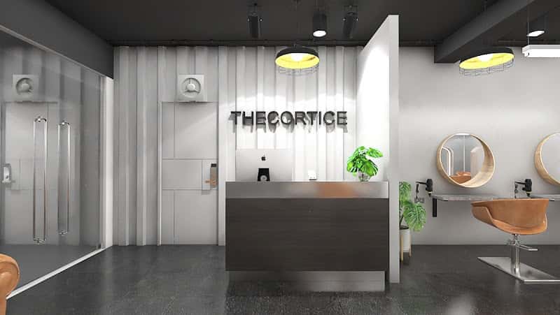 The Cortice