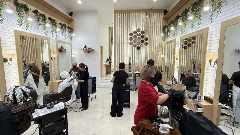 The House hair color club
