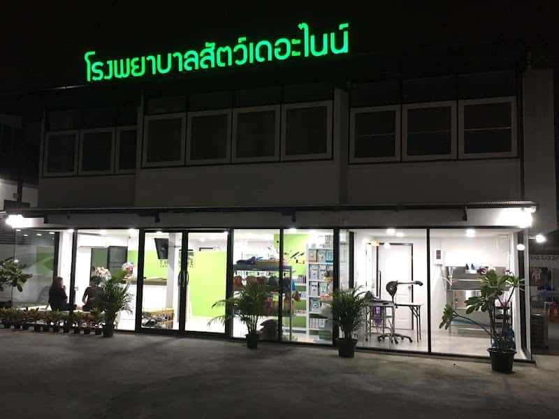 โรงพยาบาลสัตว์เดอะไนน์ (The Nine Animal Hospital)