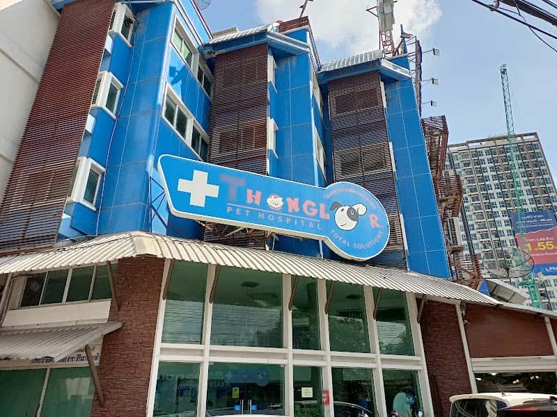 Thonglor Pet Hospital Pinklao โรงพยาบาลสัตว์ทองหล่อ