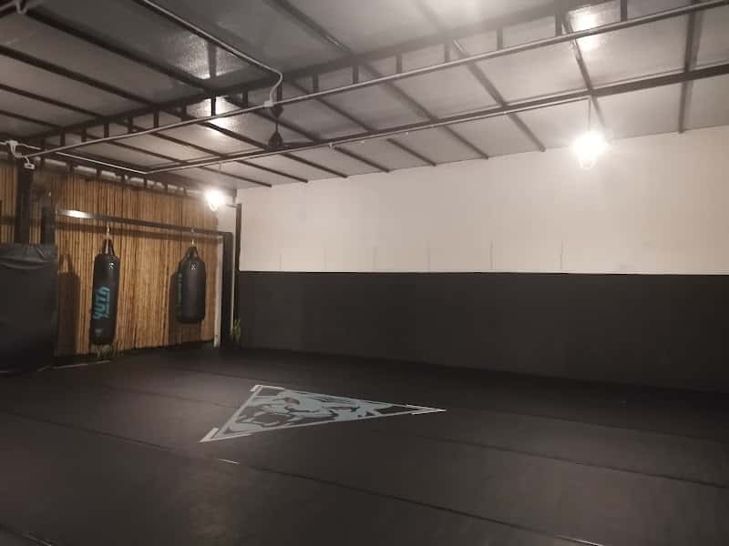 Tiger Eye Muay Thai and MMA