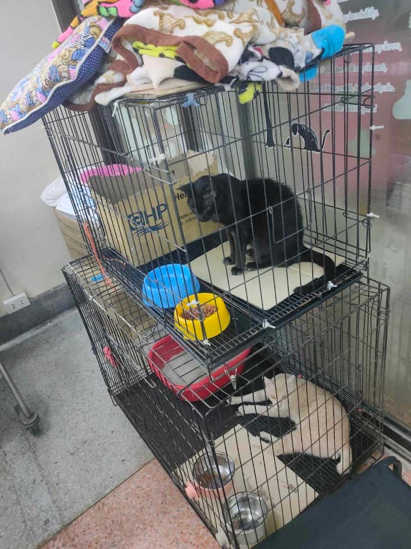 Veterinary Clinic