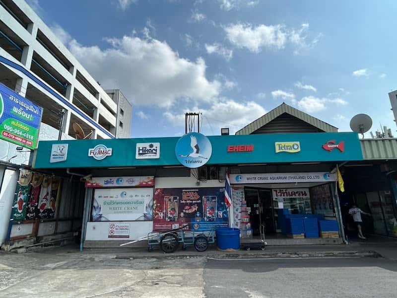White Crane Shop