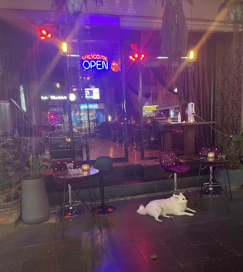 White Rabbit Bar