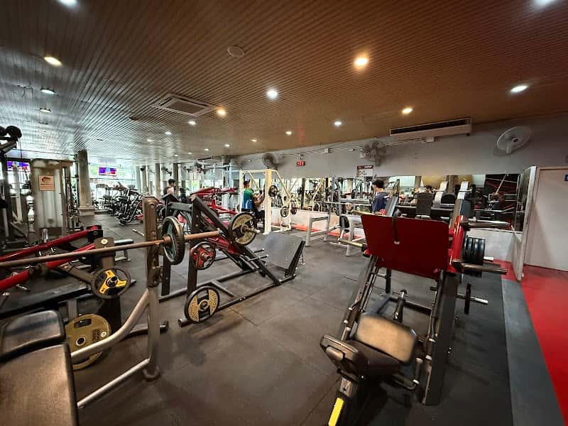 Xtreme Fitness