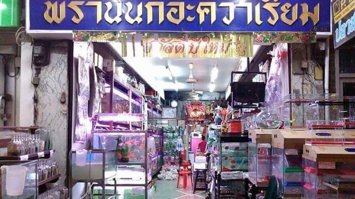 ร้านพรานนกอะควาเรียม1