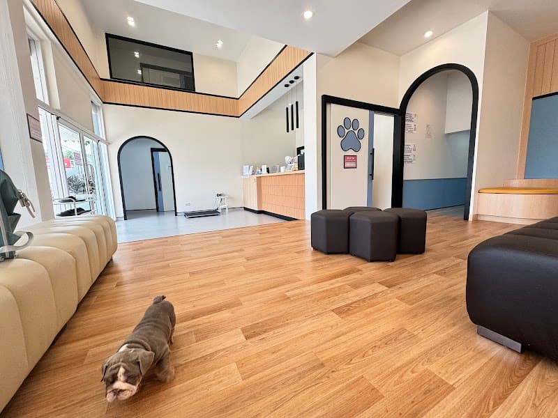 โรงพยาบาลสัตว์ยูเว็ท รามคำแหง (83/2) 24 ชั่วโมง UVET Animal Hospital Ramkhamhaeng