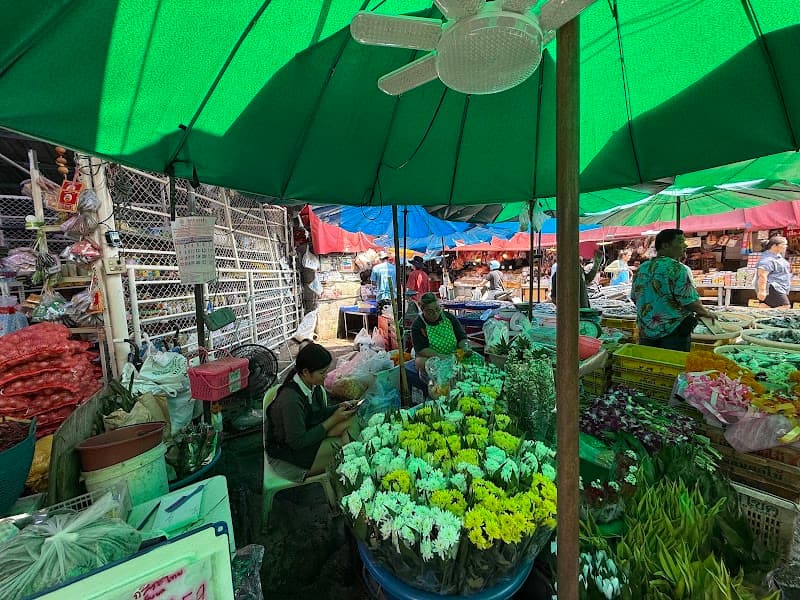 ABC Amazing Bangkok Cyclist