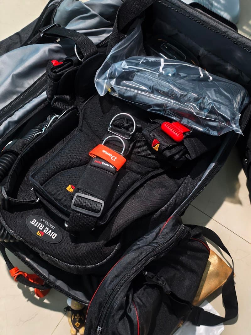 Afterdive cleaning&service