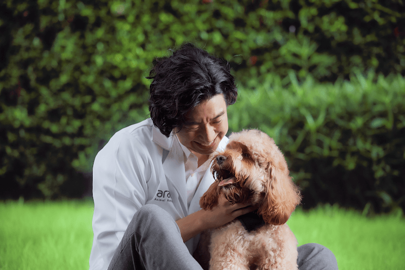 Arak Animal Hospital Thonglor โรงพยาบาลสัตว์อารักษ์ สาขาทองหล่อ