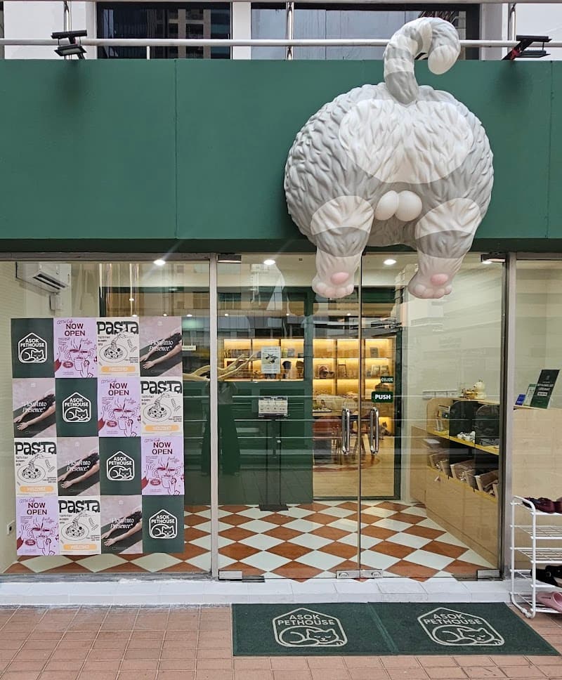 ASOK PETHOUSE CAT CAFE