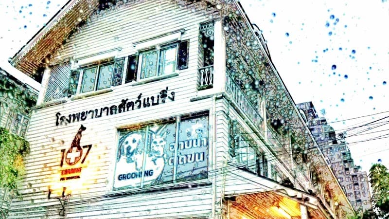 Bearing Pet Hospital