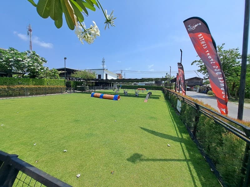 BOUNCE DOG SPORT CENTER