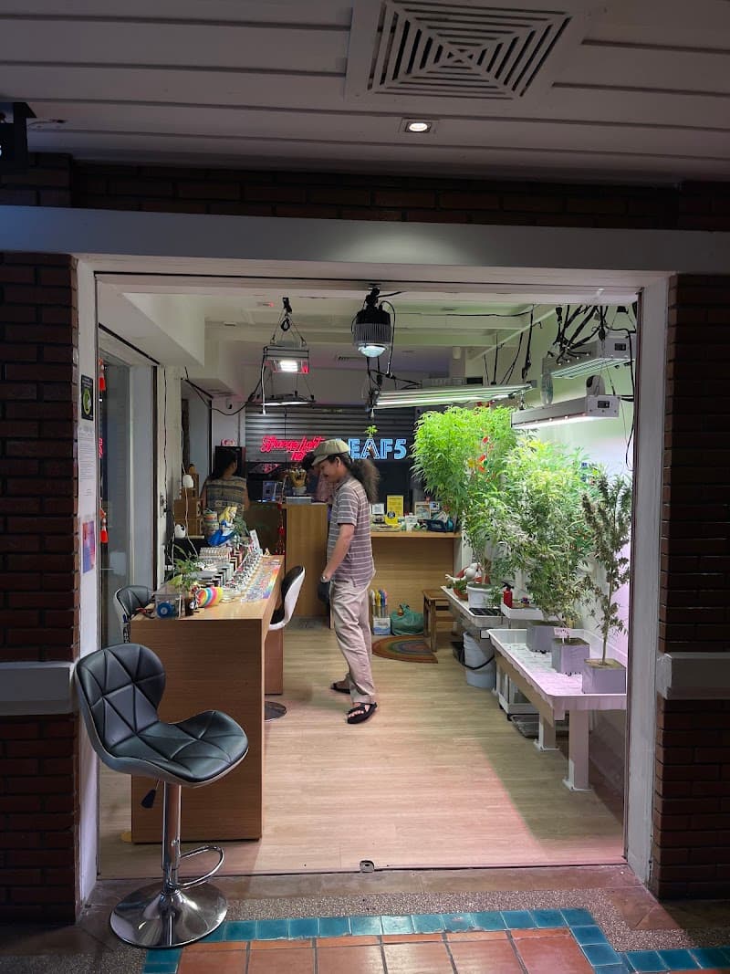 Budlight - Terpenes and Weed Matter (Khaosan)