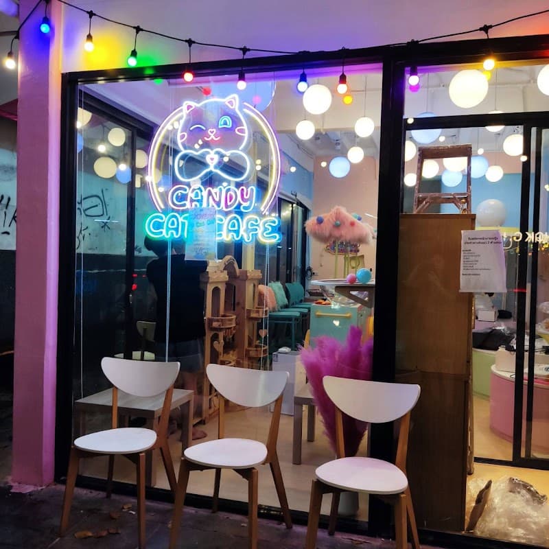 Candy Cat Cafe Banthat Thong