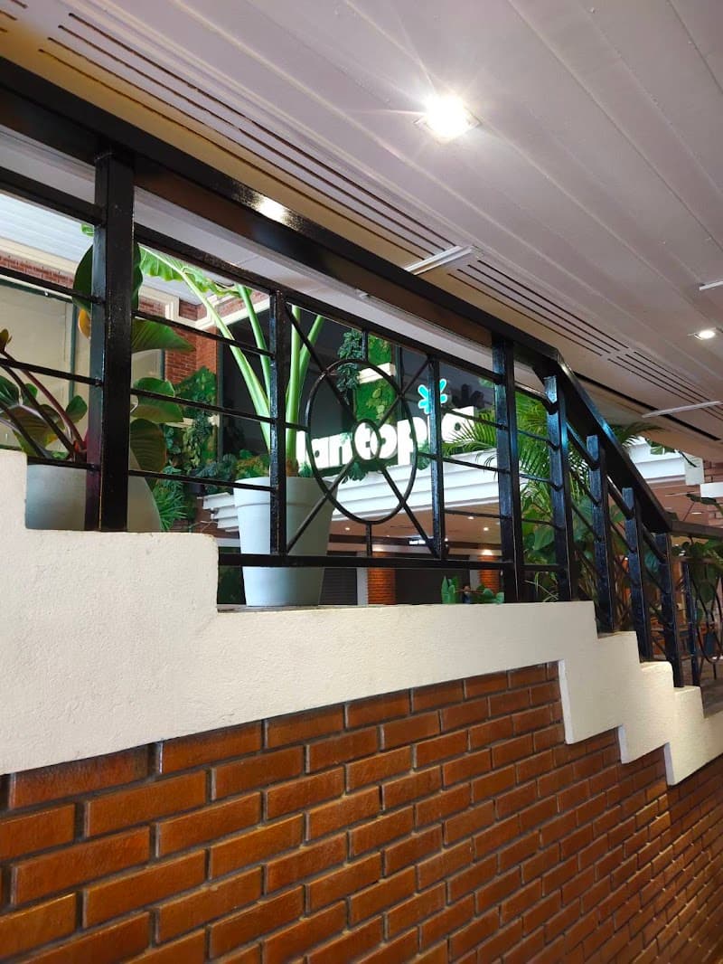 CBG Khaosan by Buddy Grow (Cannabis Dispensary) 大麻