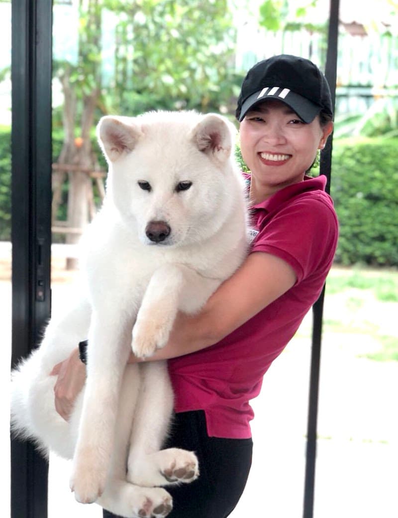 Clicker Dog,Dog Training School