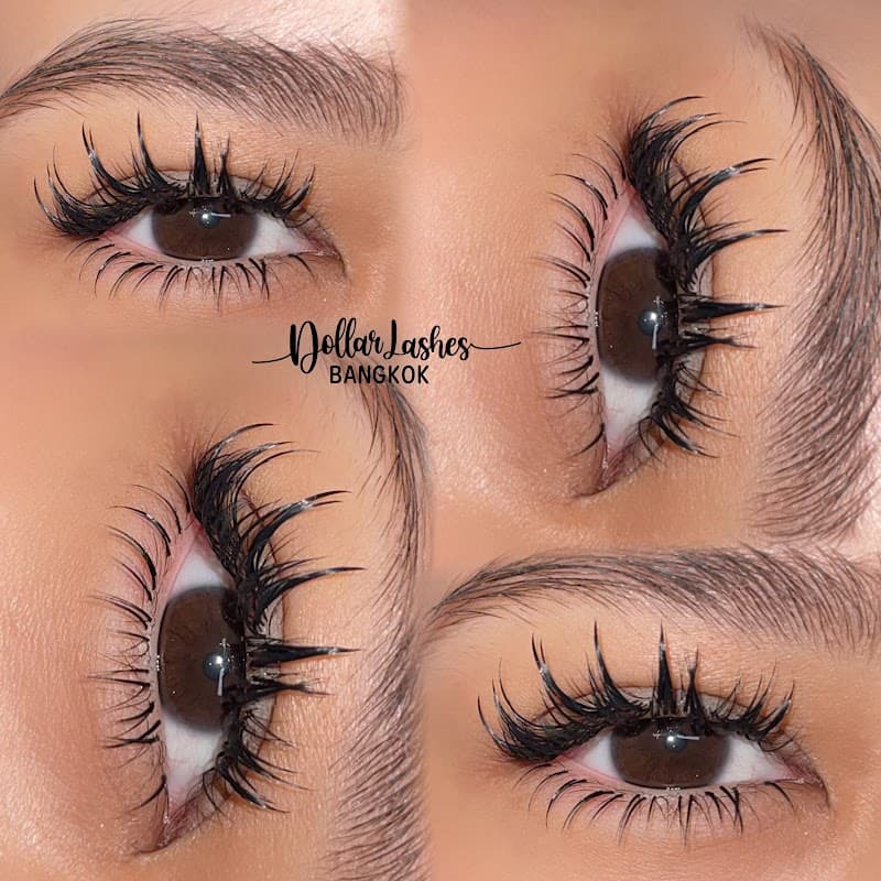 Dollar Lashes BKK