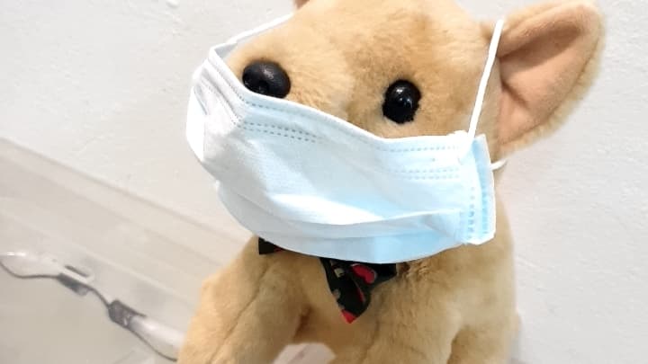 Dr. Chula's Small Animal Clinic