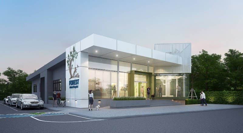 Forest animal hospital