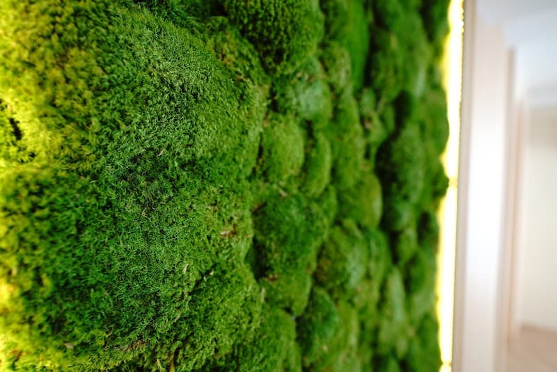 Forest Massage & Spa Onsen (Thonglor)