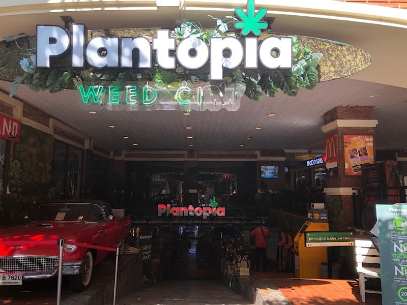 Guilt Free Gourmet Gelato - Hide Cafe