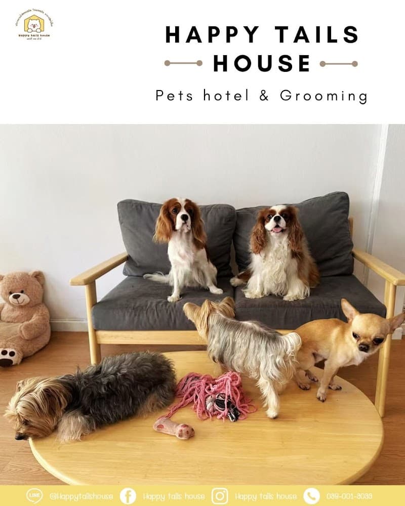 Happy tails house Pet hotel & Grooming