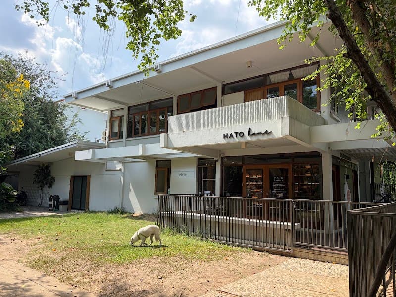 Hato Home ฮาโตะ โฮม pet clinic/pet grooming/pet park